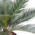 Cycas artificiel baby