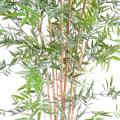 Bambou artificiel Japanese Plast