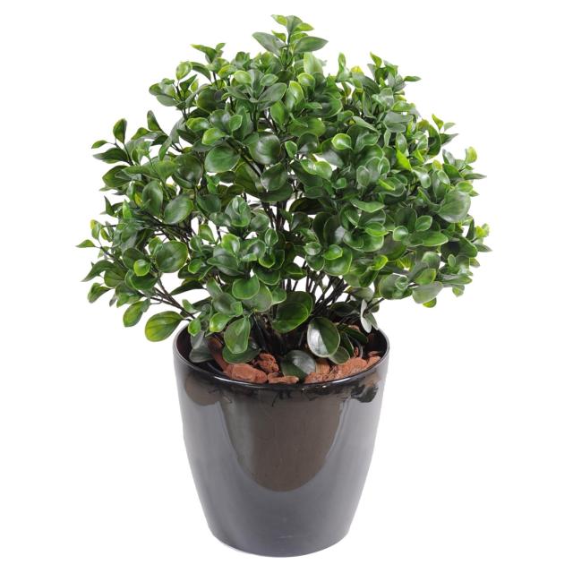 Peperomia Artificiel PLAST Buisson Hauteur 60 cm Pour Extérieur
