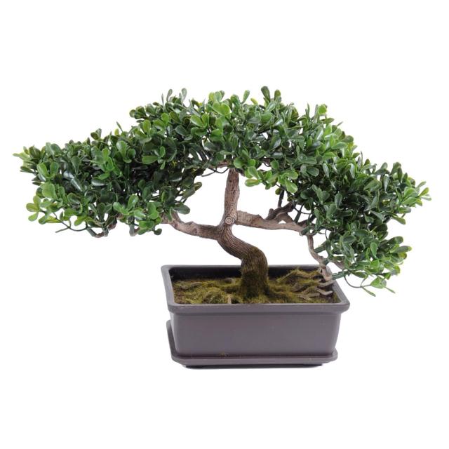 Bonsai Artificiel Thé Mini de 22 cm de Hauteur