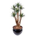 Agave*7 Artificielle