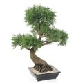 BONSAI JUNIPERUS ARTIFICIEL EN COUPE