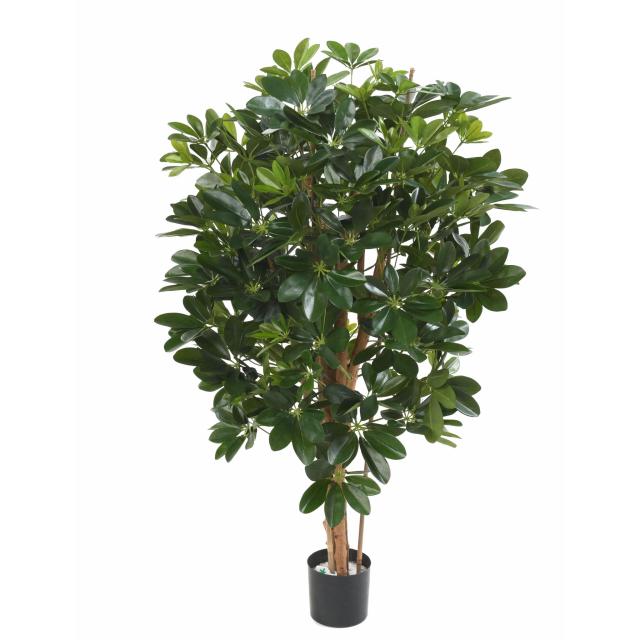 Schefflera Artificiel - Autres Arbres et Arbustes Artificiels