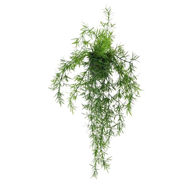 Asparagus Artificiel Chute 55 Pot