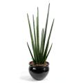 Sansevieria artificiel Cylindrica