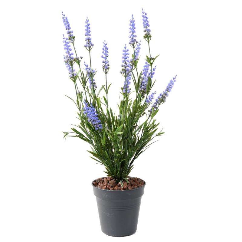 Lavande Artificielle
