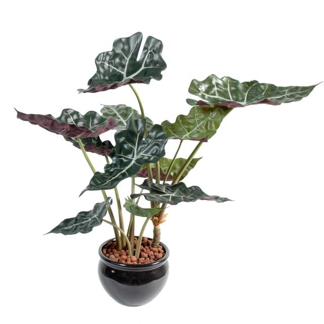 Alocasia Artificiel de 65 cm et 110 cm