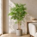 Acacia Artificiel