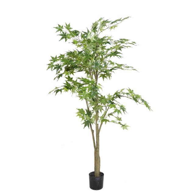 Aralia Artificel