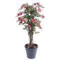 Bougainvillee artificiel New Lianes