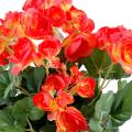 Begonia artificiel
