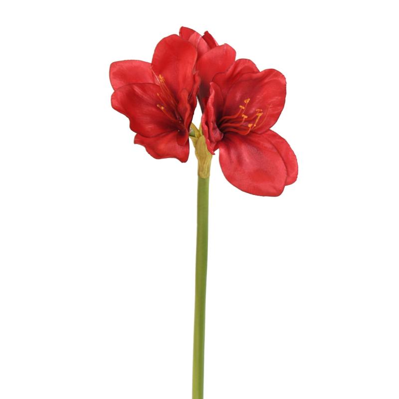 Amaryllis Artificielle