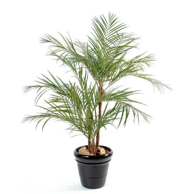 Areca Palm Artificiel Composé de 3 Troncs en Bois 170 cm et 220 cm