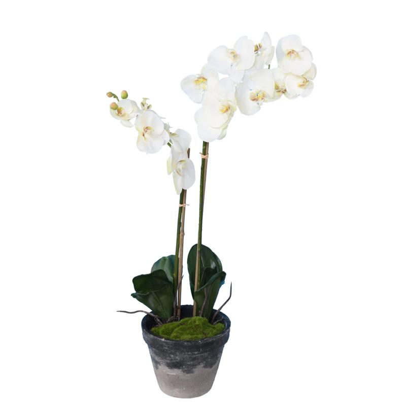 PHALAENOPSIS Artificielle POTTED 85