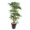 Bambou artificiel New Grosses Cannes