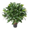 Laurier artificiel Boule Nobilis