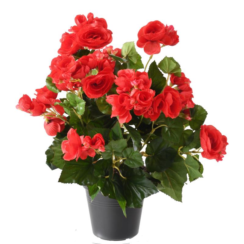 Begonia artificiel