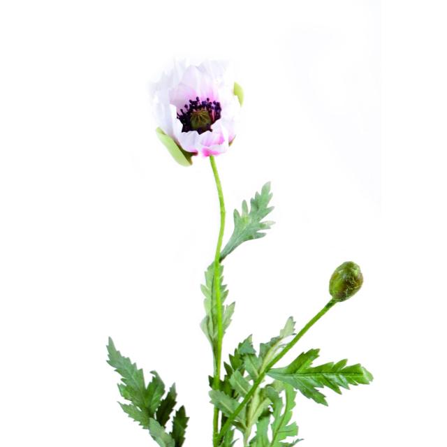 Pavot Artificiel de 66 cm de Hauteur et Une Fleur de 6 cm de Diamètre
