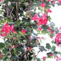 Bougainvillee artificiel New Lianes