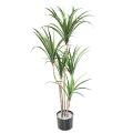 Dracaena Artificiel Marginata 125