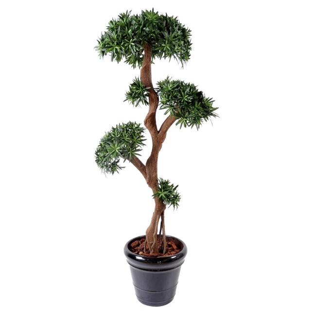 Podocarpus Artificiel TREE Avec 1 Tête Principale et 4 Petites Têtes