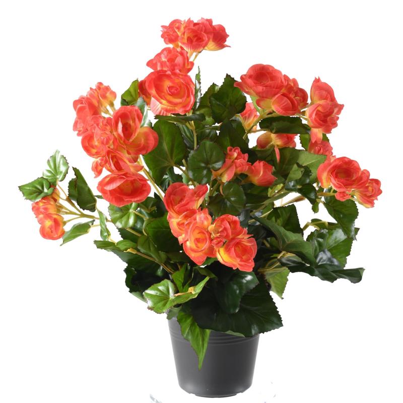 Begonia artificiel
