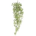 Tradescantia Artificiel 110
