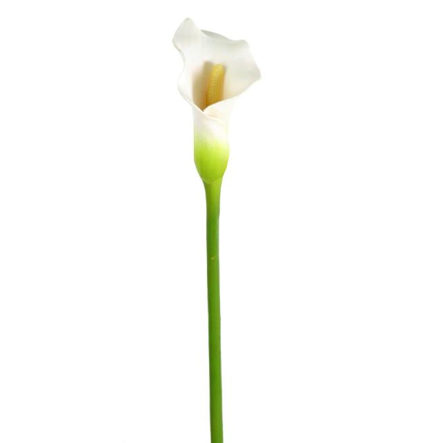Arome Medium Artificiel Blanc en Tige de 65 cm de Hauteur