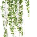 LIERRE Artificiel *801 FR - Fire Resistant