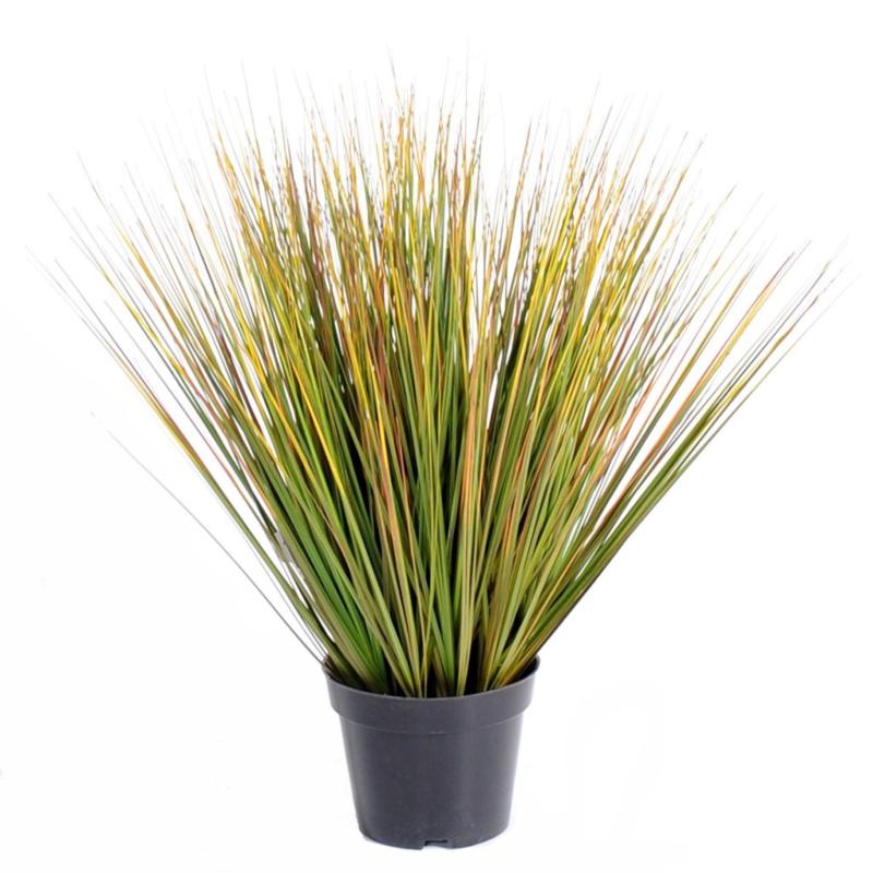 Onion Artificiel Grass Round GF