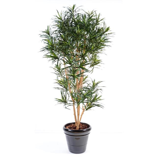 Dracaena Artificiel Anita