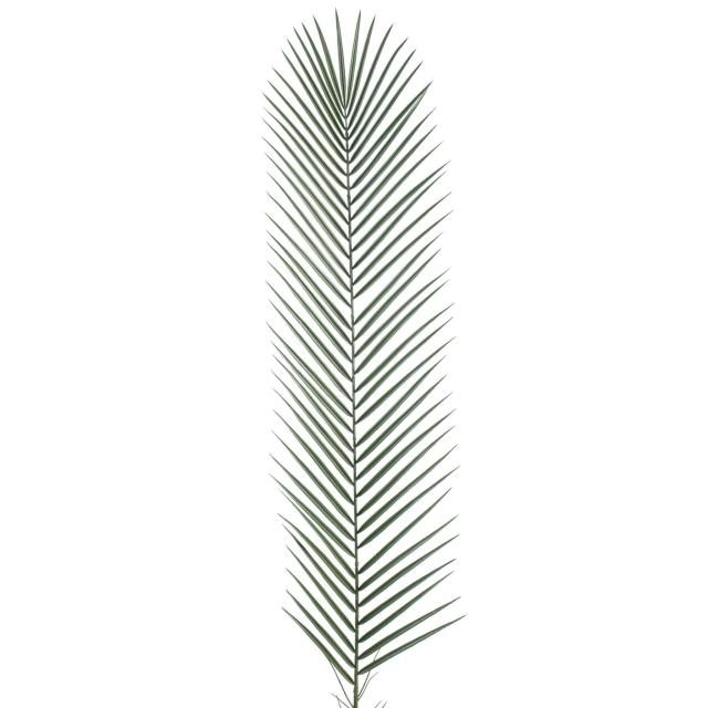 Palme Artificielle de Phoenix de 135 cm Pour Extérieur