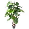Alocasia Artificiel Calidora TB