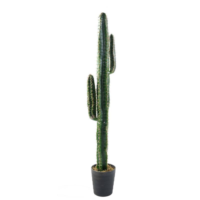 Cactus artificiel Cereus