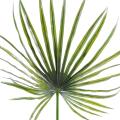 Camerus artificiel Palm Plast