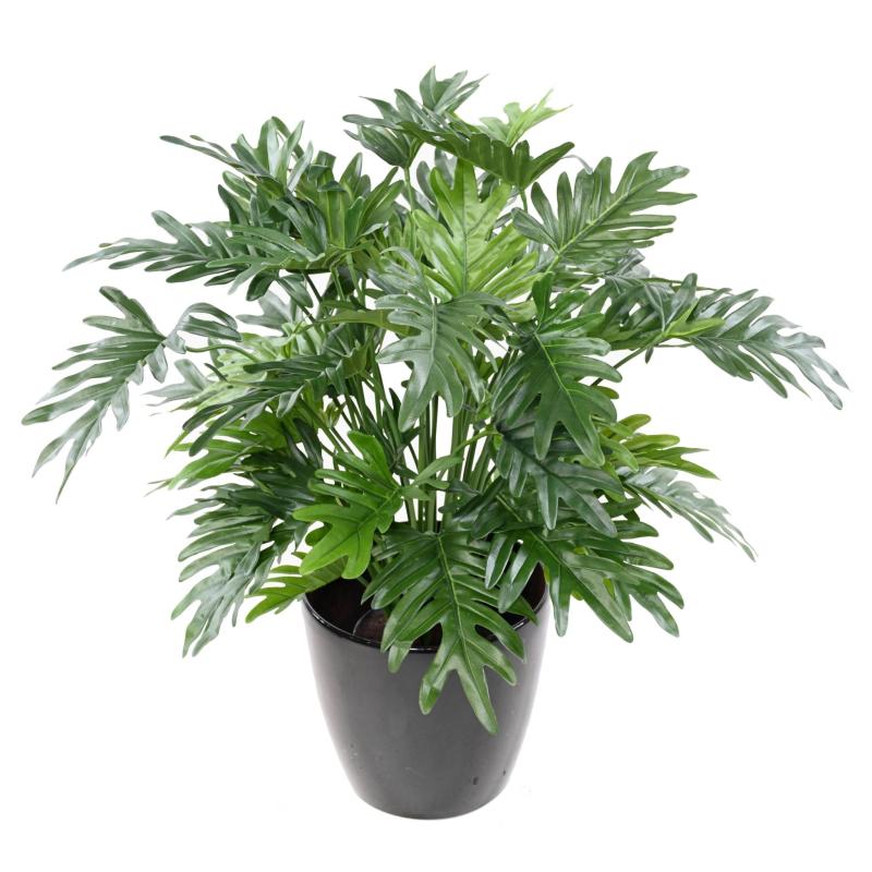 Philodendron Artificiel Selloum