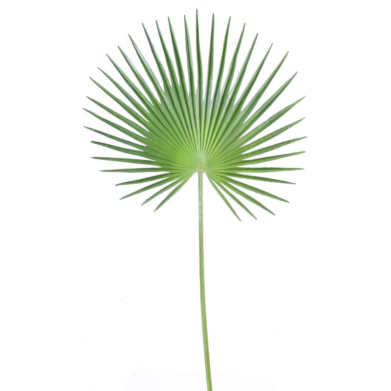 Palme artificielle Palmier Camerus