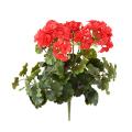Geranium UV Artificiel