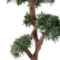 Podocarpus artificiel Tree
