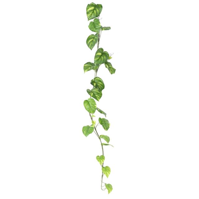 Pothos Artificiel Large Guirlande 200 - Guirlandes Artificielles