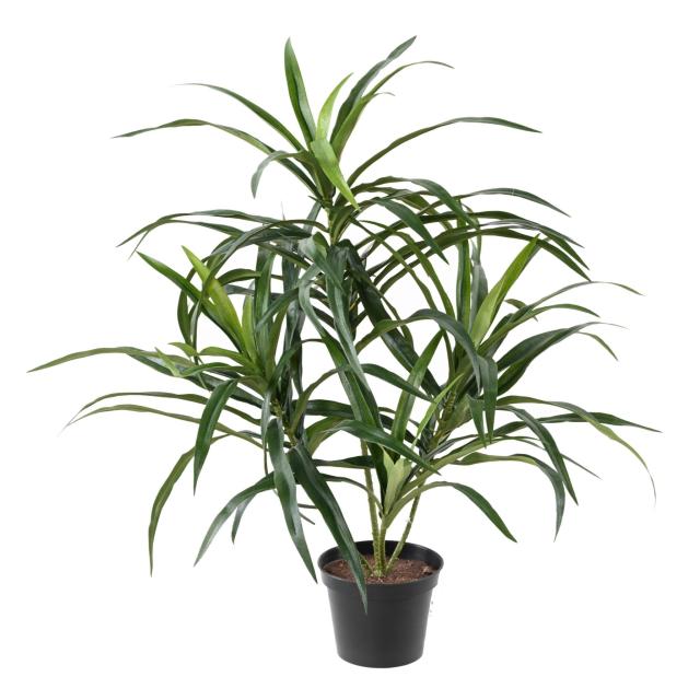 Dracena (ou Dracaena) Artificiel Anita en Pot 45 cm OU 75 cm de Haut