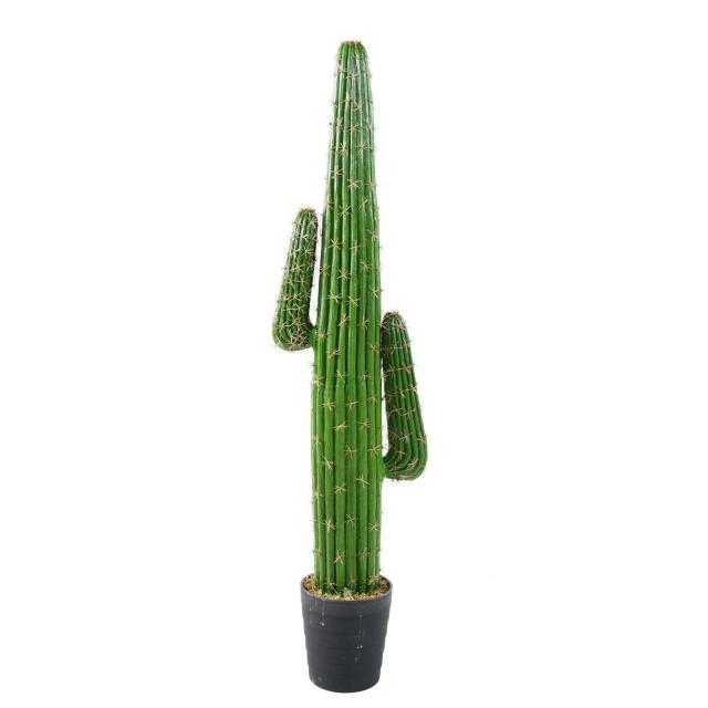 Cactus Mexico Artificiel en Plastique en Pot Terre Cuite 138 et 200 cm