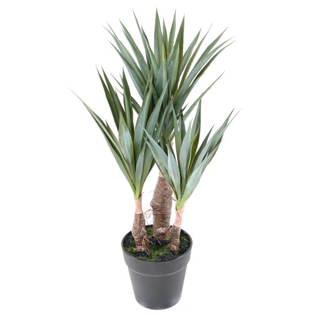 Agave Artificielle Sisal 55
