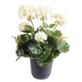 Geranium artificiel 30 cm
