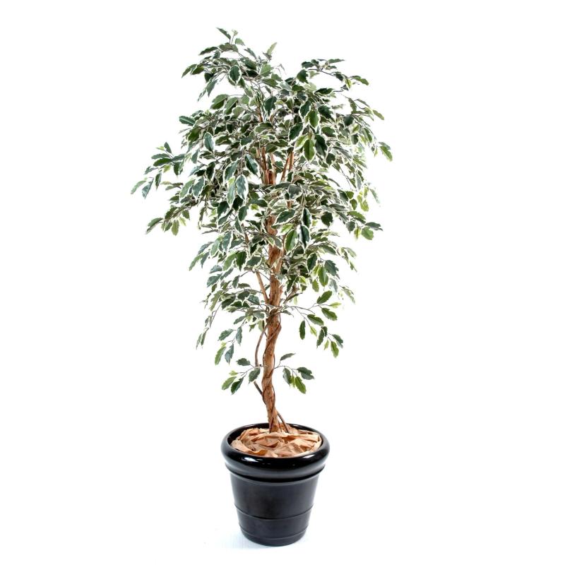 Ficus artificiel tronc simple grandes feuilles