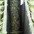 LAURIER Artificiel NOBILIS NEW HAIE UV