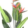 Strelitzia Artificiel 11f 3fl 150