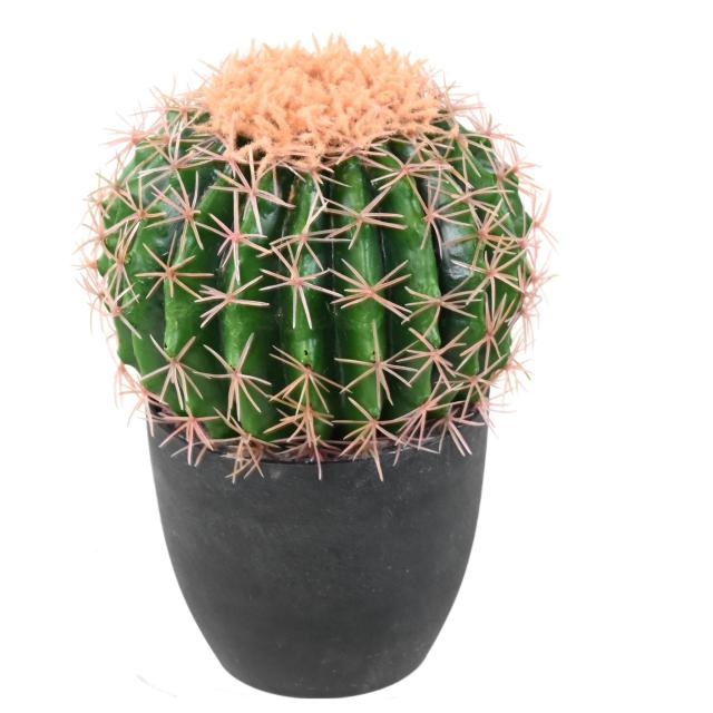 Cactus Artificiel Echino - Cactées et Succulentes Artificielles