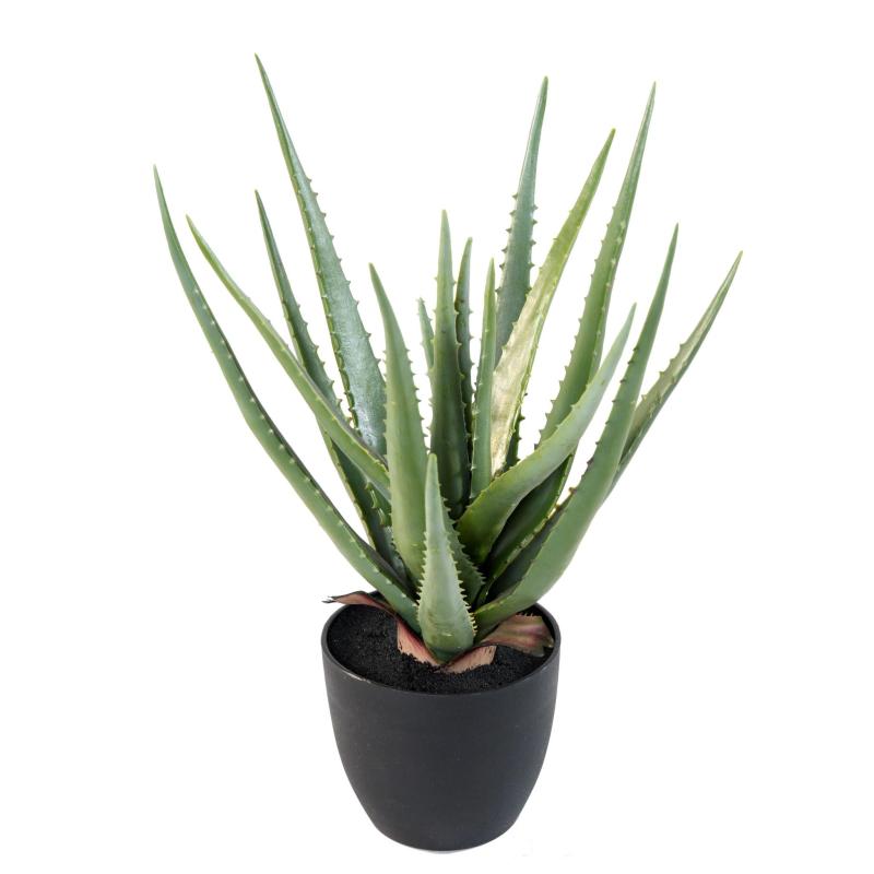 Aloe Artificielle 48