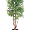 Aralia artificiel Ming Nitida 10 troncs